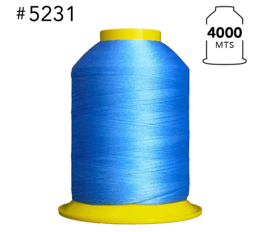 5231 Hilo de bordar 4000 mts