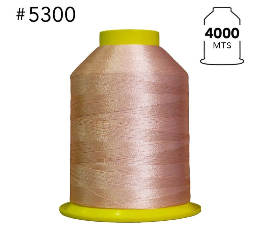 5300 Hilo de bordar 4000 mts