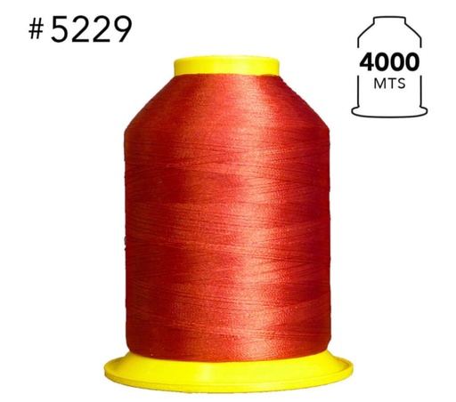 [AME00368] 5229 Hilo de bordar 4000 mts