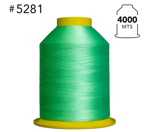 [AME00396] 5281 Hilo de bordar 4000 mts x