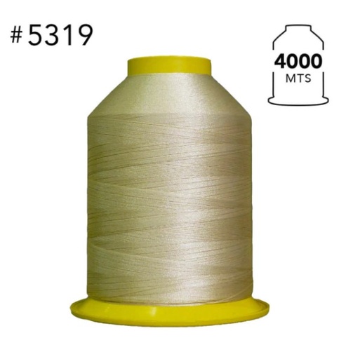 [AME00425] 5319 Hilo de bordar 4000 mts x