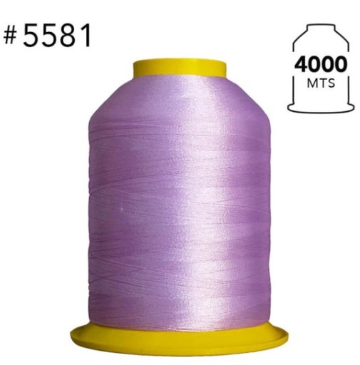 [AME00463] 5581 Hilo de bordar 4000 mts