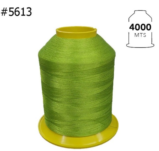[AME00495] 5613 Hilo de bordar 4000 mts x
